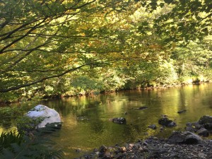 River Avonmore, the Original Photograph